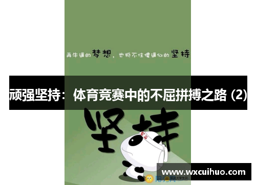 顽强坚持：体育竞赛中的不屈拼搏之路 (2)